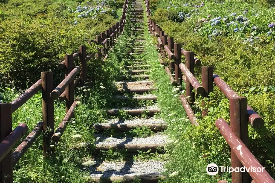 球島山展望台