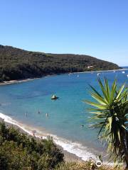 Spiaggia di Frugoso