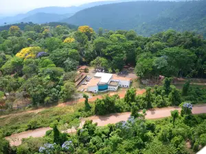 BioParque Vale Amazônia