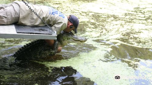 Cajun Pride Swamp Tours