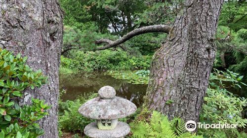 Asticou Azalea Garden