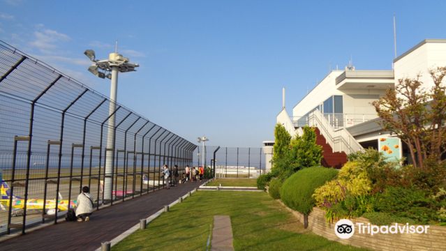 Kobe Airport Rooftop Observation Deck
