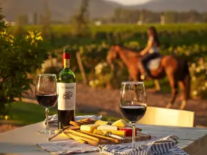 Viu Manent Winery
