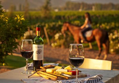 Viu Manent Winery