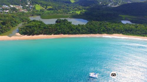 Plage de Grande Anse