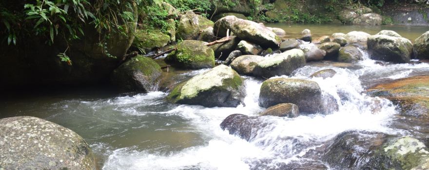 Ilhabela State Park