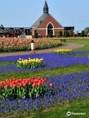 Kamiyubetsu Tulip Park