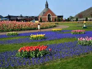 Kamiyubetsu Tulip Park