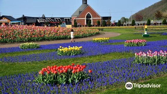 Kamiyubetsu Tulip Park