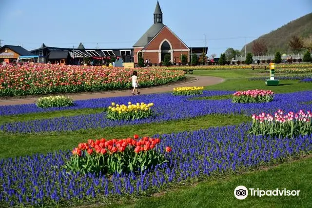 Kamiyubetsu Tulip Park