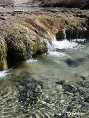 Balcones Canyonlands National Wildlife Refuge