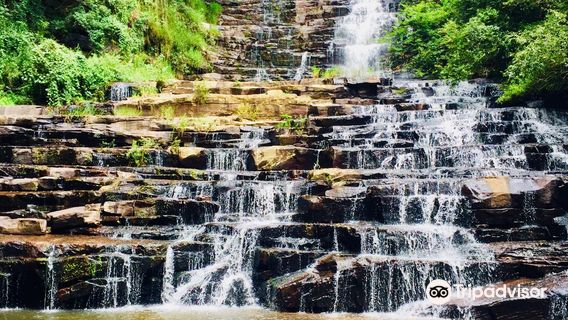 Krantzkloof Nature Reserve