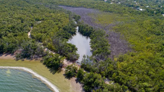 Crane Point Hammock