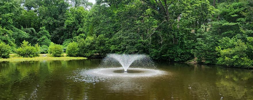 Squirrel Lake Park