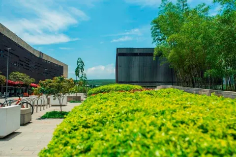 Plaza Mayor, Medellín