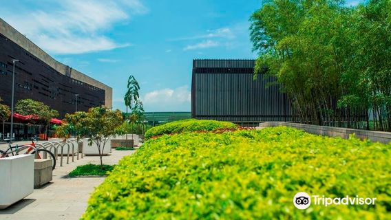 Plaza Mayor, Medellín