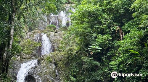 Argyle Waterfall