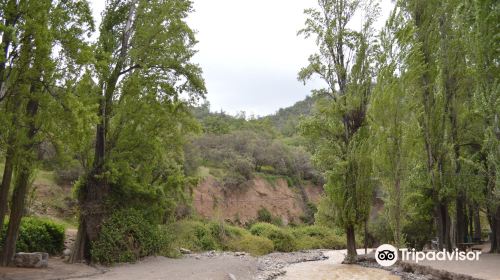 Santuario de La Naturaleza El Arrayán