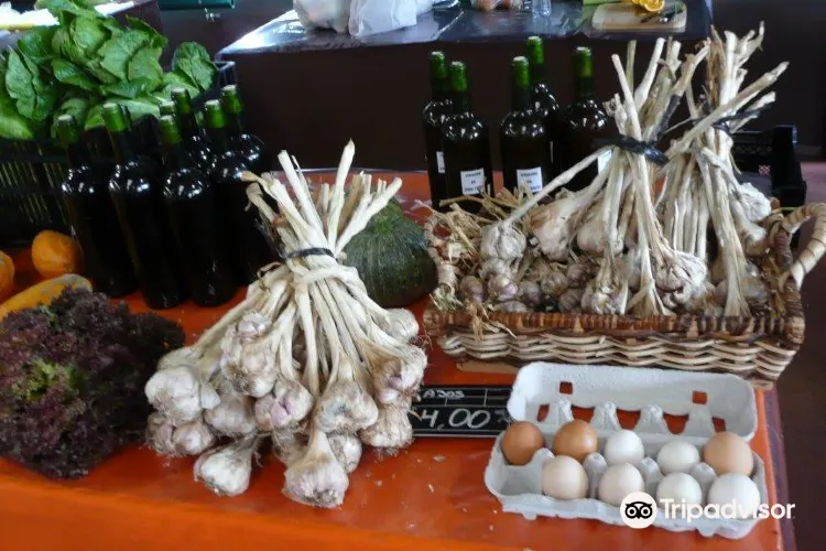 Mercadillo Valle de La Orotava3