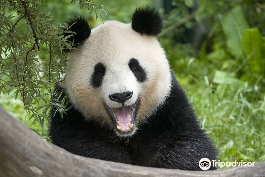 Top 10 Family-friendly Attractions in Vienna