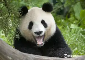 美泉宮動物園