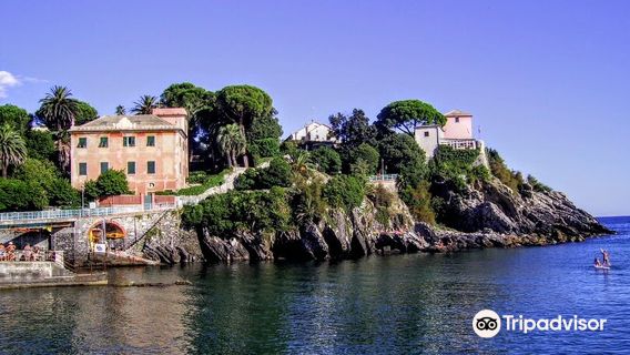 Nervi