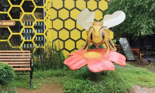 Honey Museum Wayanad