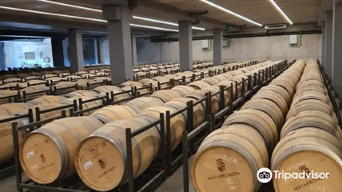 4_Bodega Matarromera