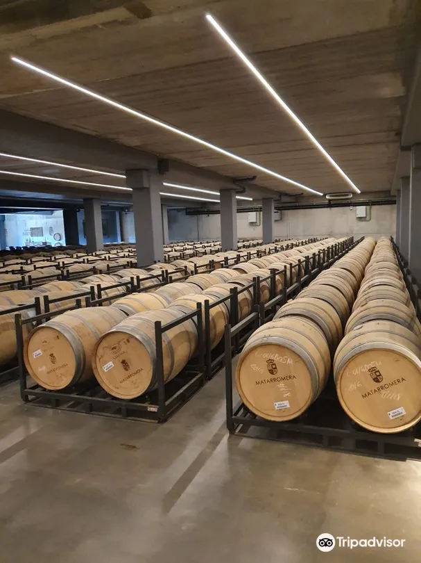 4_Bodega Matarromera