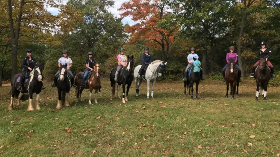 Buffalo Run Farm