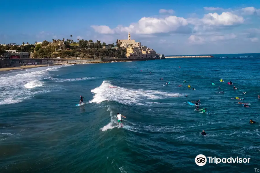 Aloha Surf School