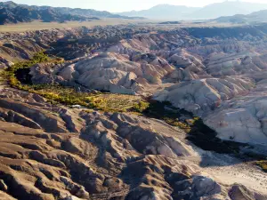 China Ranch Date Farm & Bakery