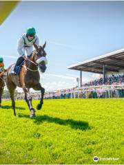 Downpatrick Racecourse