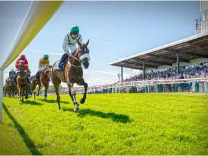 Downpatrick Racecourse