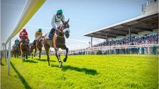 Downpatrick Racecourse