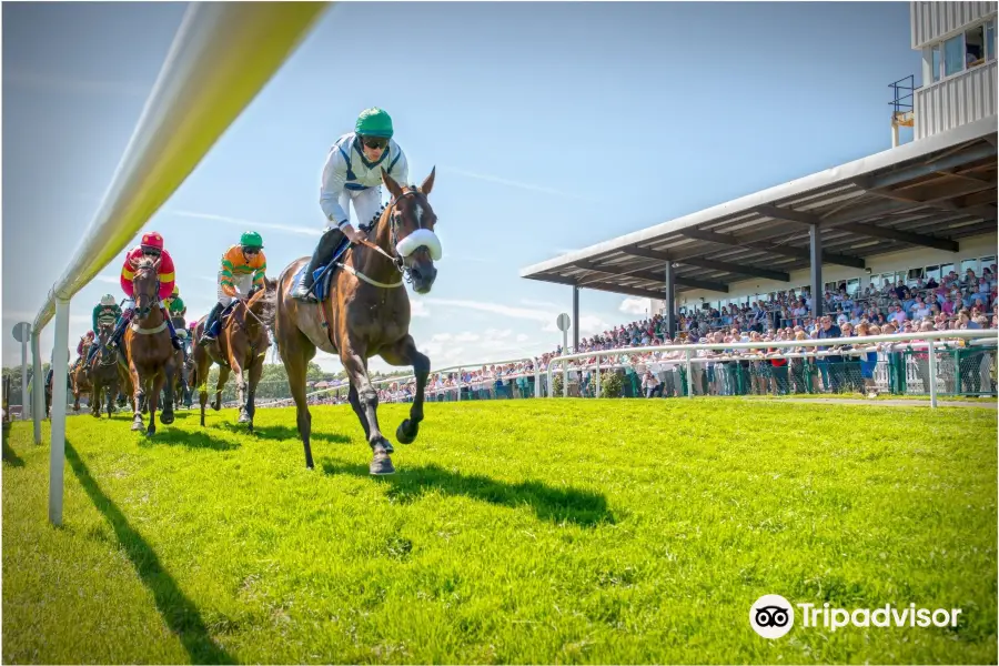 Downpatrick Racecourse