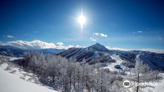 마이코 스노우 리조트