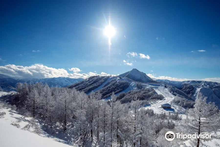 Maiko Snow Resort