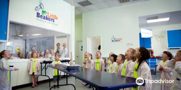 Little Beakers - The Woodlands