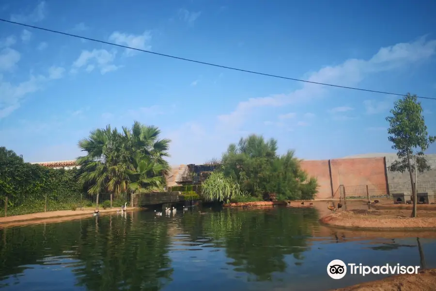 Balsa del Sapo Parque Ornitológico y Centro de Interpretación