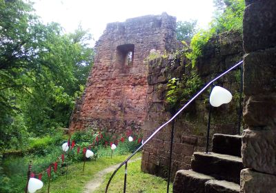 Burg Wilenstein-Florsheim