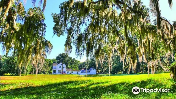 Hofwyl-Broadfield Plantation