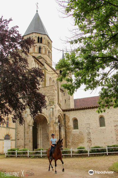 Haras National de Cluny