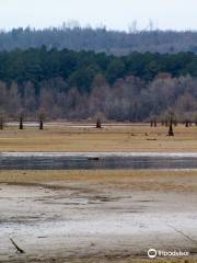 Pickwick Lake