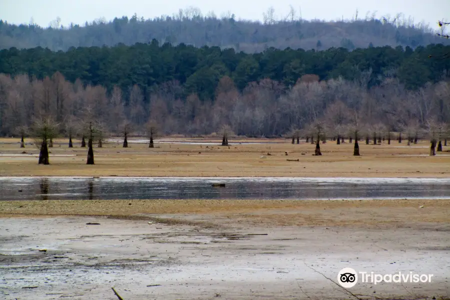 Pickwick Lake