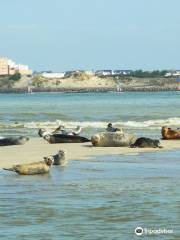 Nautical Club Berckois