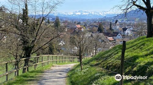 Aussichtstrum Altberg