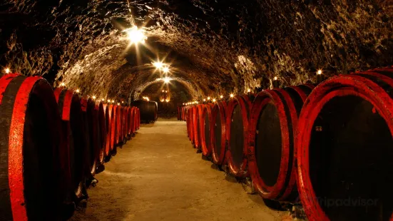 TOKAJ MACIK WINERY