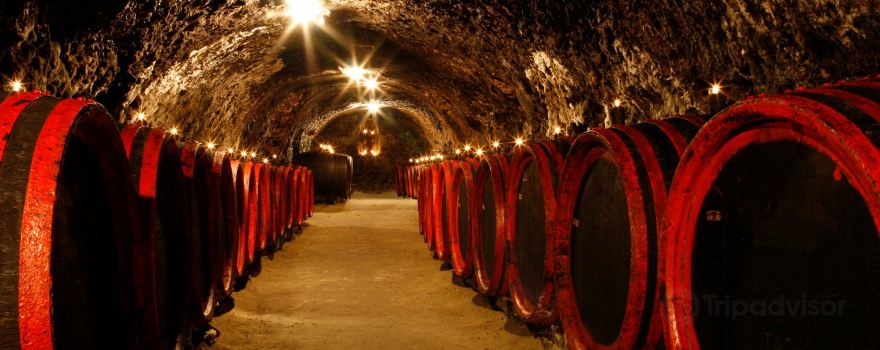 TOKAJ MACIK WINERY