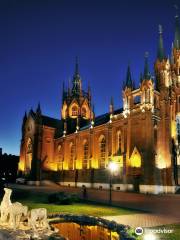 Catholic Cathedral of The Immaculate Conception of The Blessed Virgin Mary